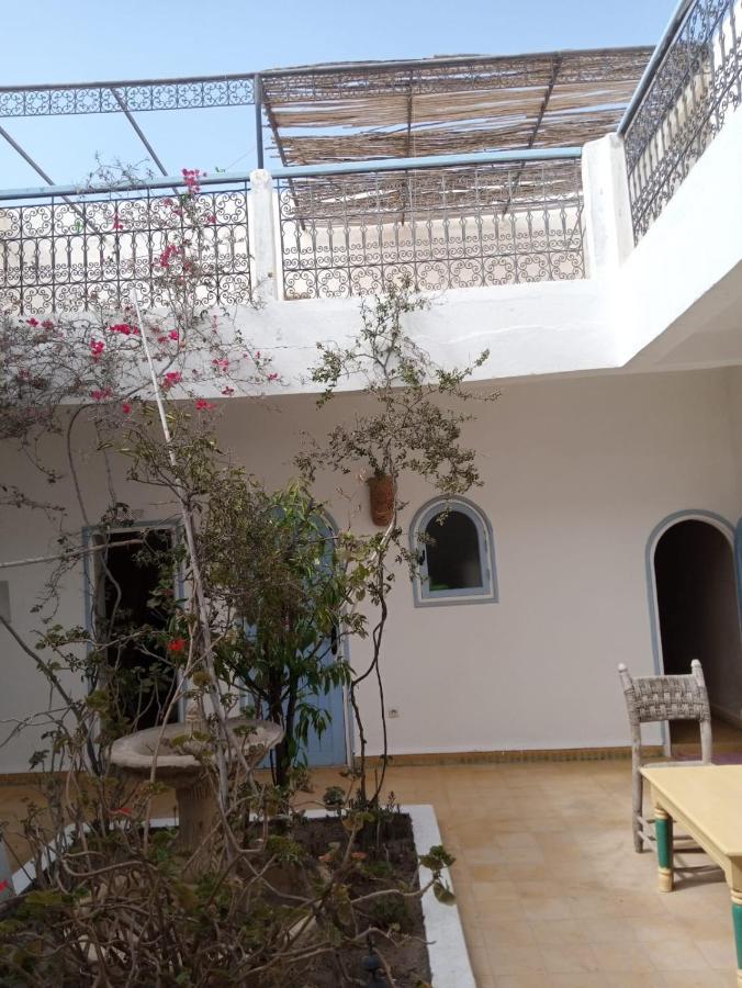 Acacia Essaouira